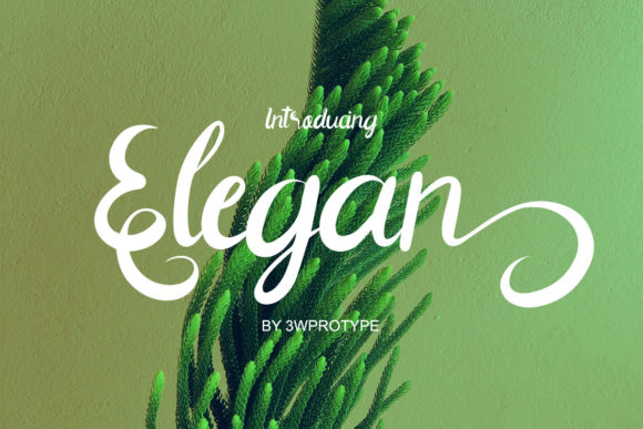 Discover the Elegance of Elegan: A Font for Makers