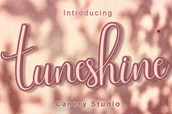 Tuneshine: A Charming Script Font for Web Design
